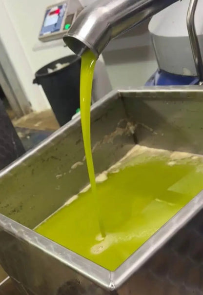 Bottiglia Olio extra vergine di oliva bio