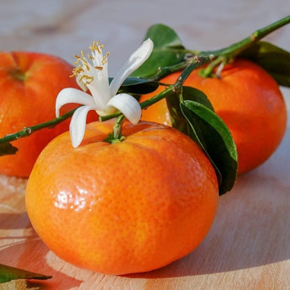 Mandarini Clementine