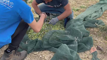 Latta di Olio extra vergine di oliva bio