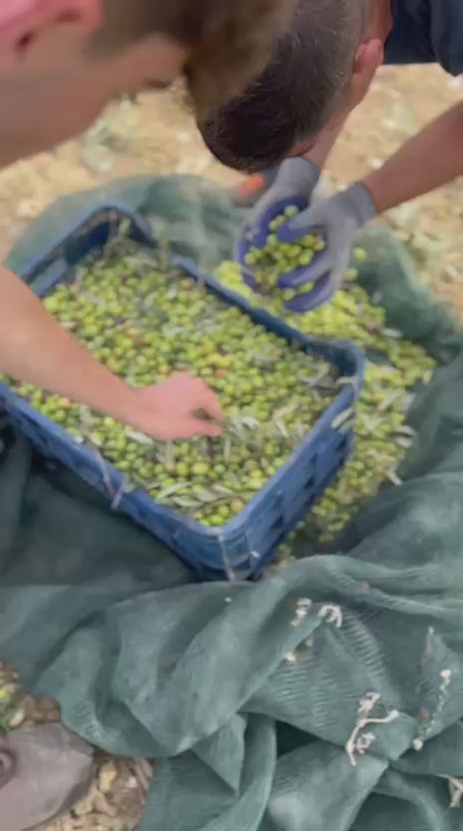 Latta di Olio extra vergine di oliva bio