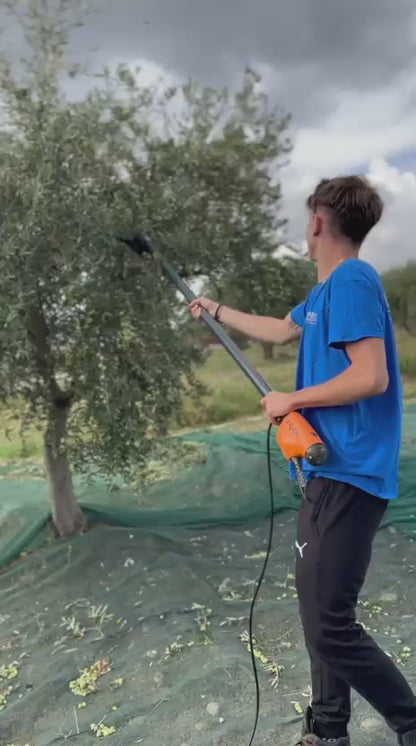 Latta di Olio extra vergine di oliva bio