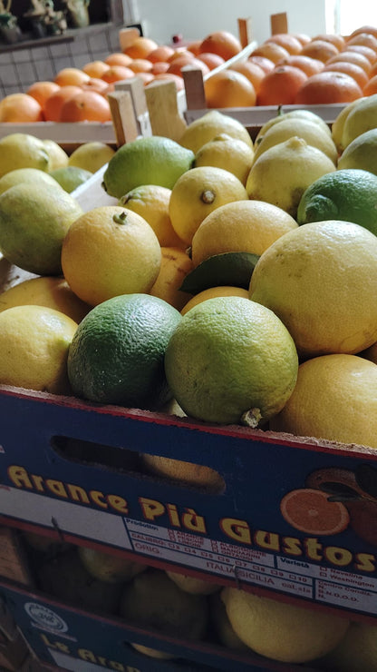 Arance Navel Biologiche