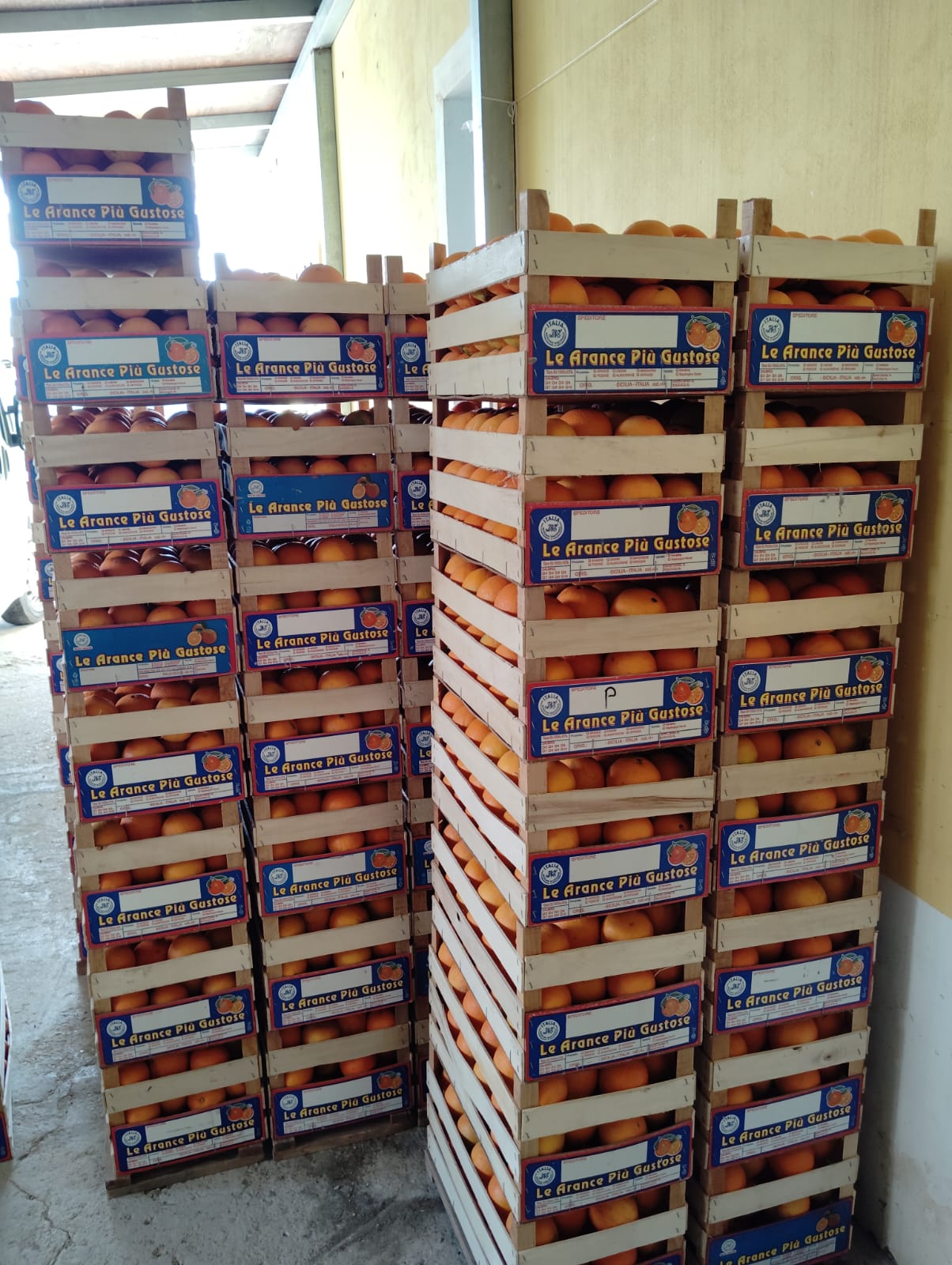 Arance Navel Biologiche