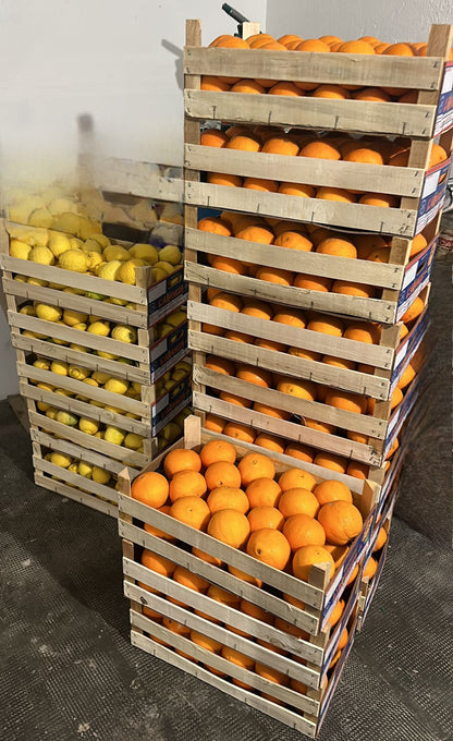 Arance Navel Biologiche