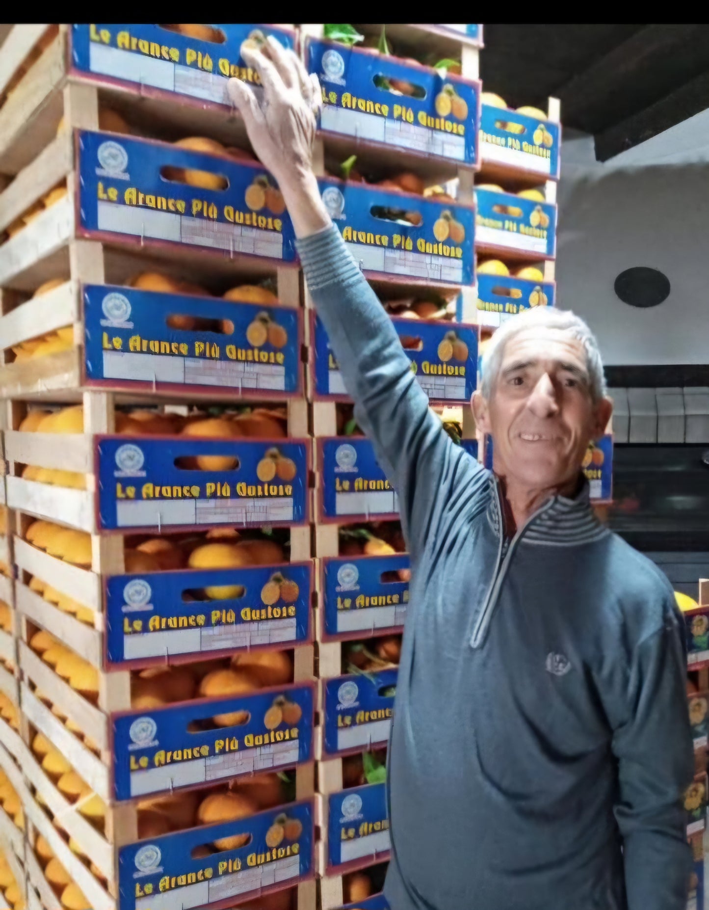 Arance Navel Biologiche