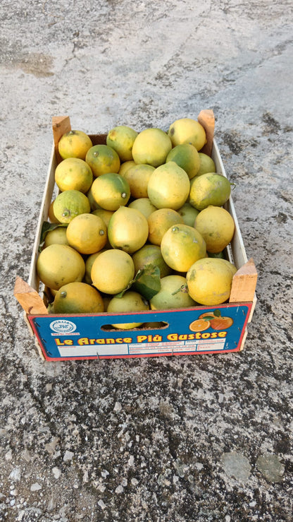 Limoni biologici